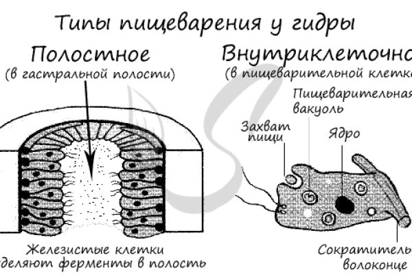 При входе на кракен пишет вы забанены