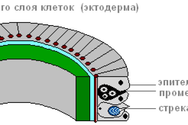 Что такое кракен в даркнете