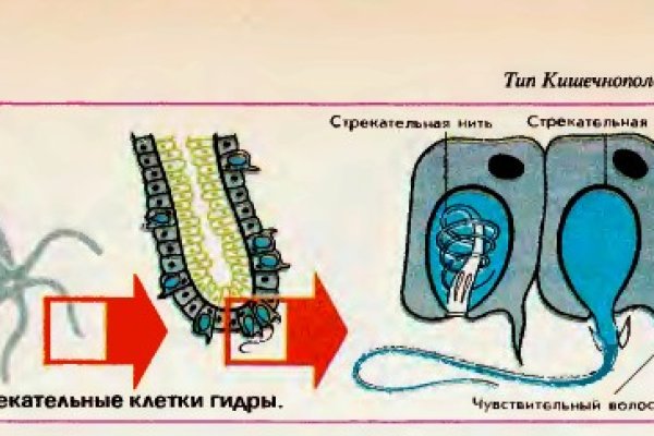 Кракен маркетплейс kr2web in площадка